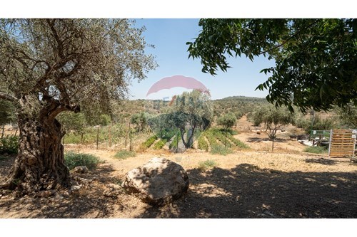 Land For Sale: 53 Agur, Agur 11