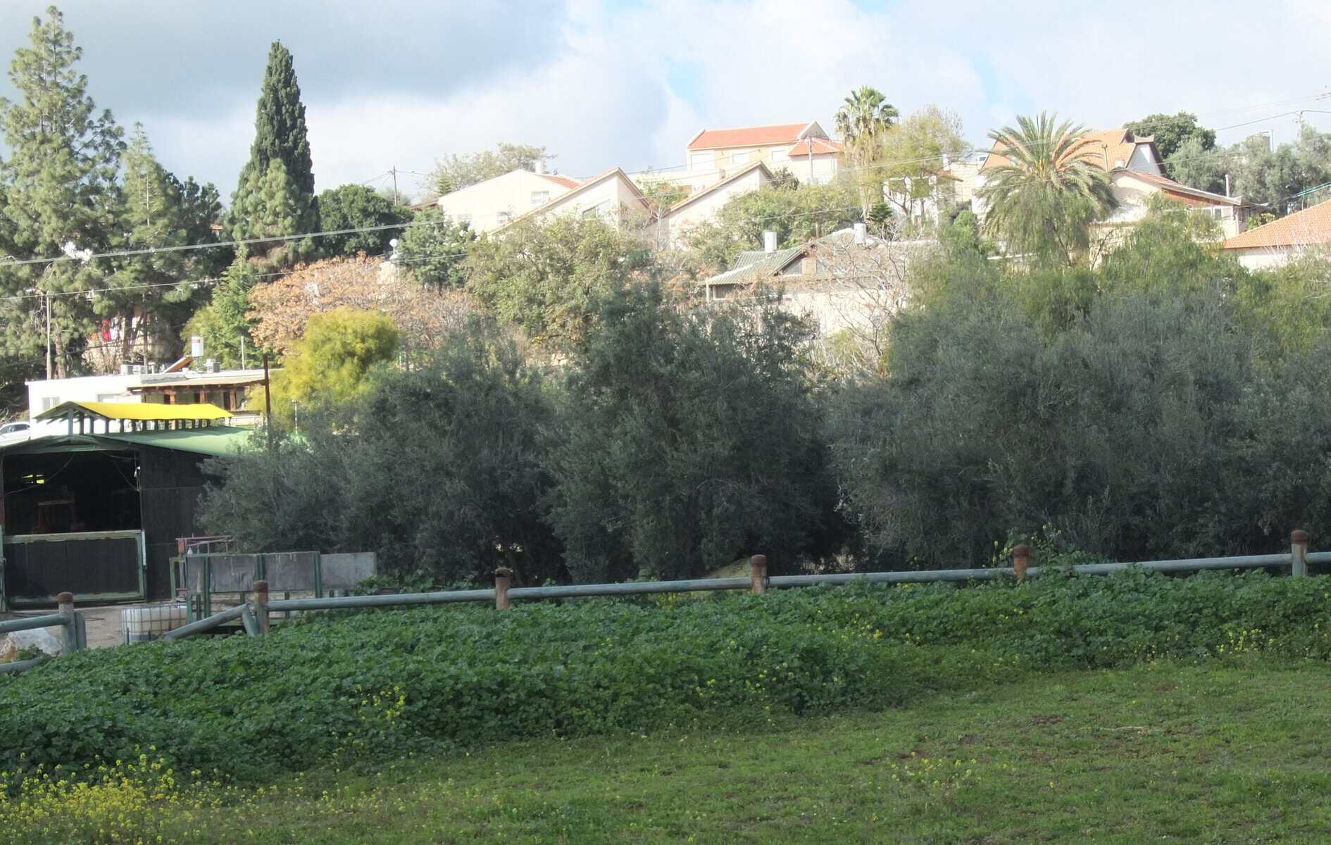 Houses and gardens in Moshav Aderet in 2015, an illustrative rural scene unrelated to the court property