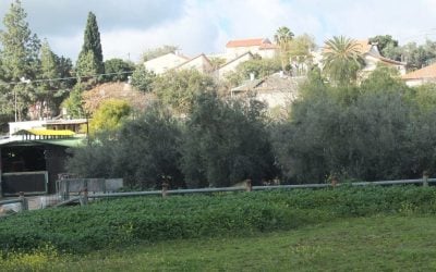 Houses and gardens in Moshav Aderet in 2015, an illustrative rural scene unrelated to the court property
