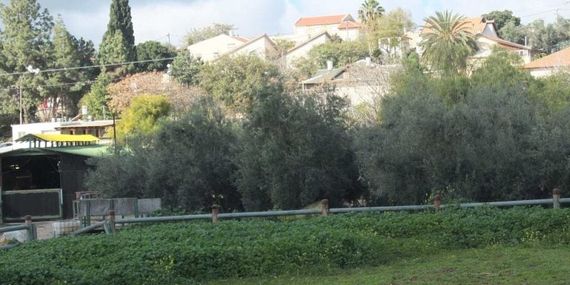 Houses and gardens in Moshav Aderet in 2015, an illustrative rural scene unrelated to the court property