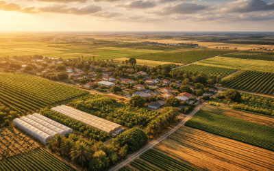Aerial view of rural farmland and moshav in southern Israel at sunset