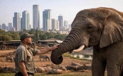 Ramat Gan Safari animals and Ariel Sharon Park landscape renovation project