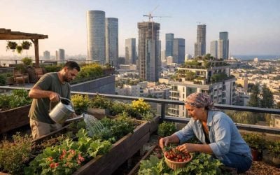 Lush green rooftop garden overlooking a modern Israeli city skyline, representing the Fifth Facade architecture revolution